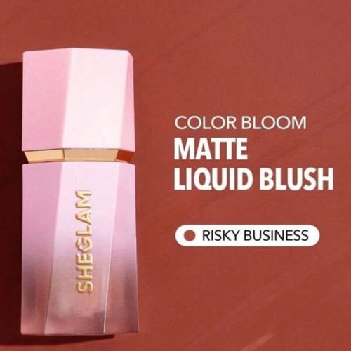 رژ گونه شیگلم مدل ریسکی بیزینس