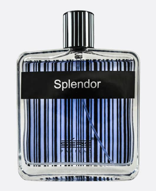ادکلن اسپلندور آبی مردانه 100 میل Splendor